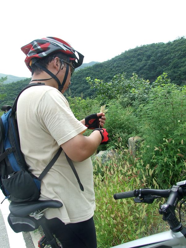 DSCF0371.JPG