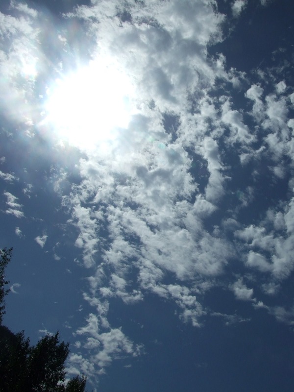 DSCF0302.JPG