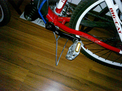 20100209121.jpg