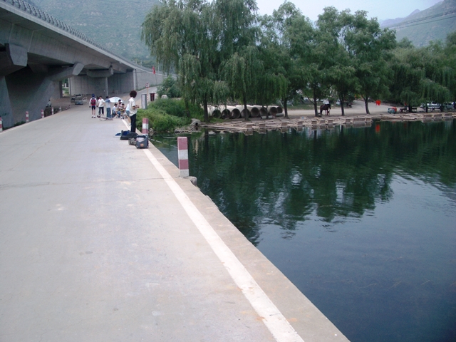IMGP4009.jpg