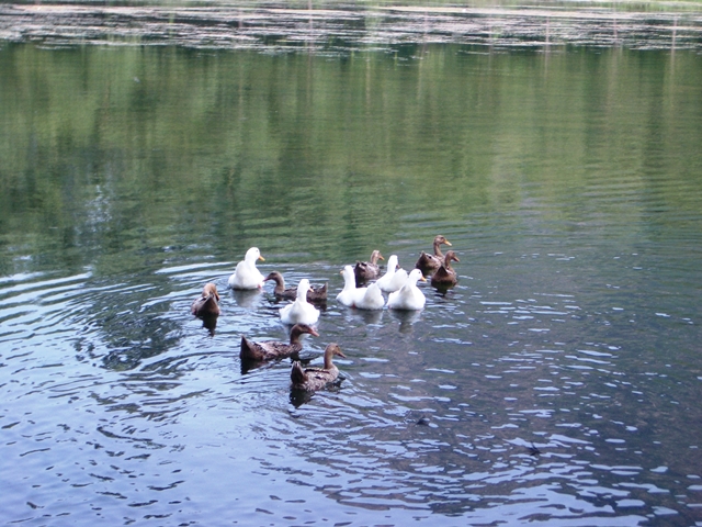 IMGP4014.jpg