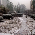 2011年12月2好北京第一场雪