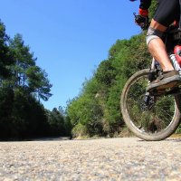 （HOLUX参赛作品）身未动心已远