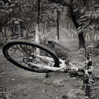 无题（HOLUX参赛作品）