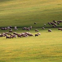 HOLUX 骑迹摄影大赛获奖公布