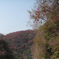 【好利时HOLUX骑迹摄影】---秋色