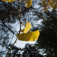 《好利时HOLUX骑迹摄影比赛》-------秋