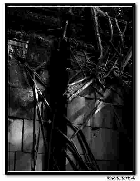 Siem Reap 549(a).jpg