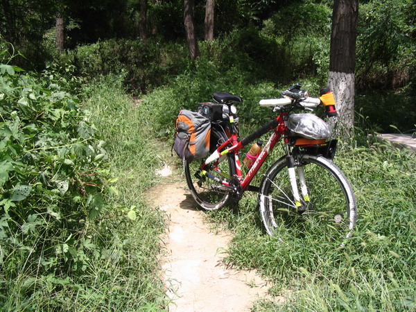 看我的警报器 还有前面以后后面一个两个音箱哈哈哈~~.jpg