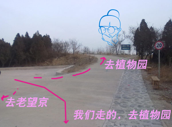 20110102189.jpg
