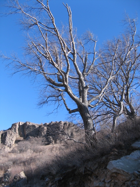 2011.1.15妙阳联爬 030.jpg