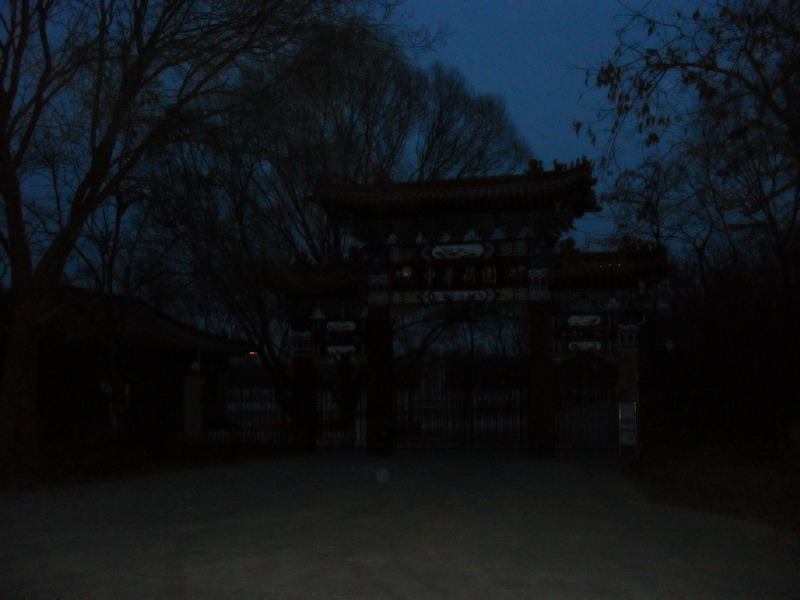 SDC12630_缩小大小.JPG