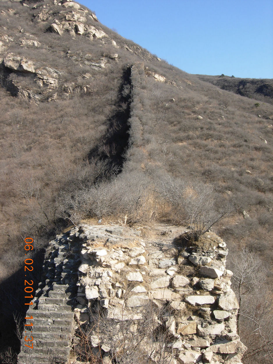 残长城上长满了荒草