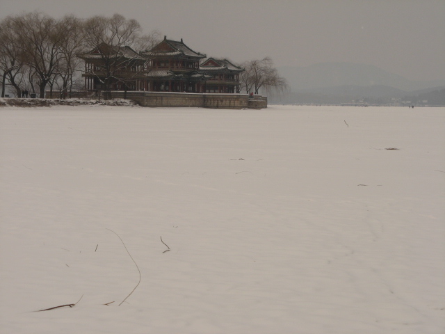 兔年春雪走颐 004.jpg