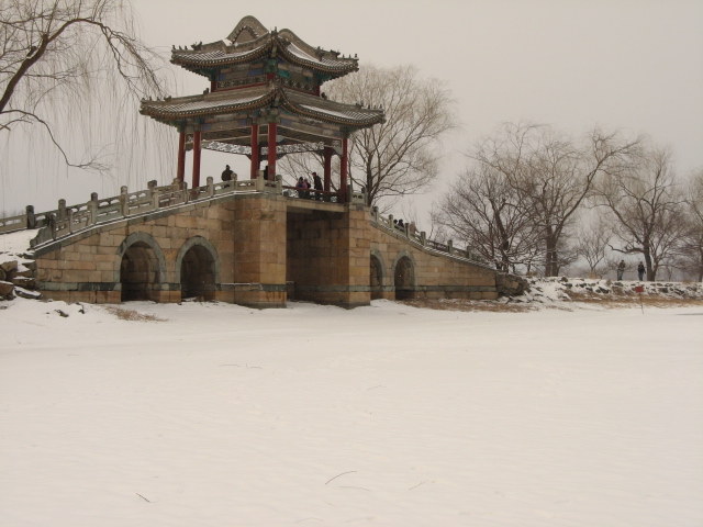 兔年春雪走颐 005.jpg