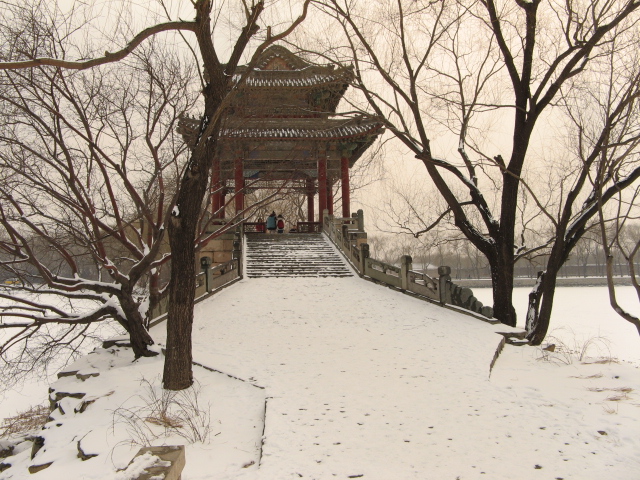 兔年春雪走颐 006.jpg