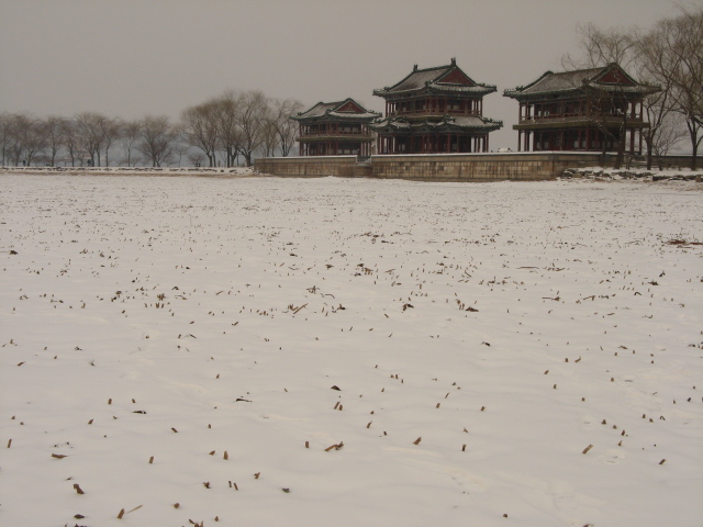 兔年春雪走颐 007.jpg