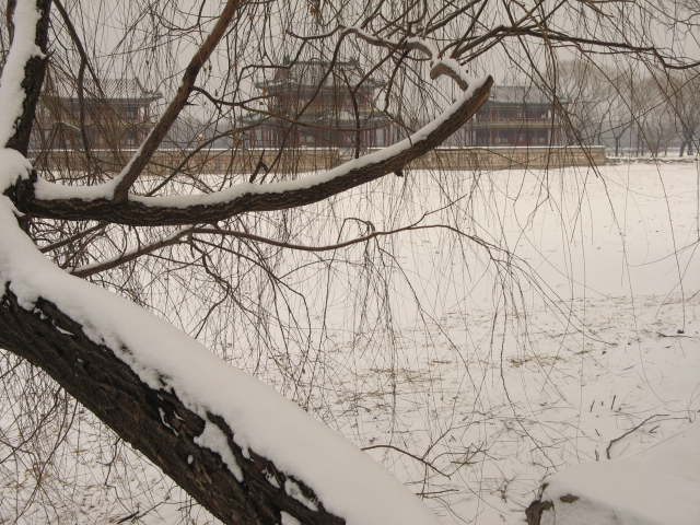 兔年春雪走颐 008.jpg