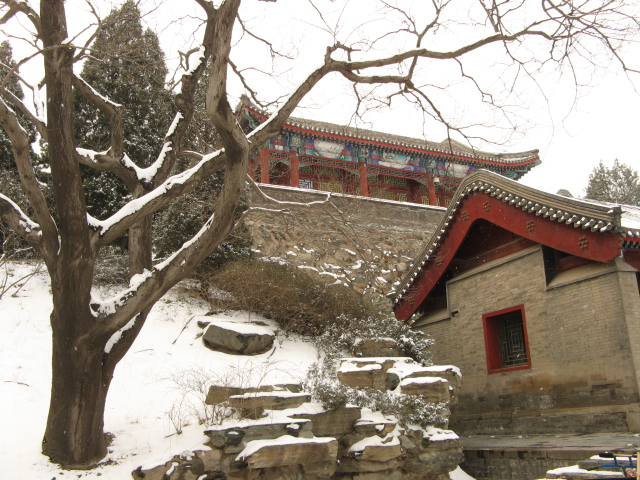 兔年春雪走颐 009.jpg