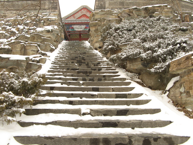 兔年春雪走颐 010.jpg