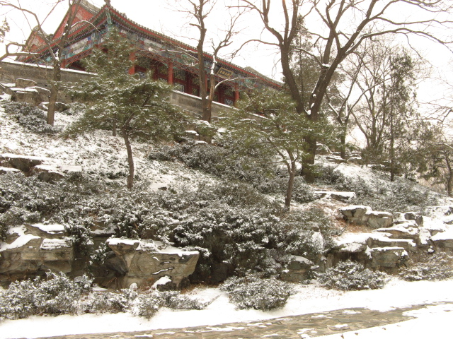 兔年春雪走颐 011.jpg