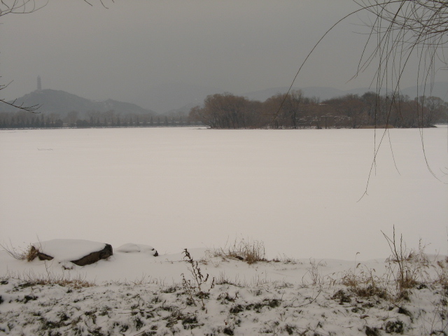 兔年春雪走颐 012.jpg