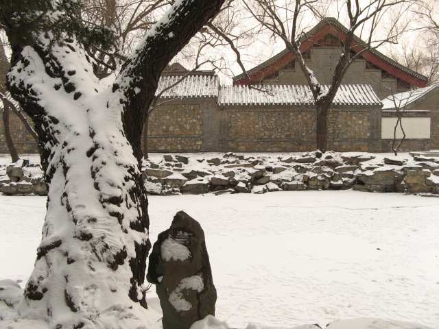 兔年春雪走颐 018.jpg