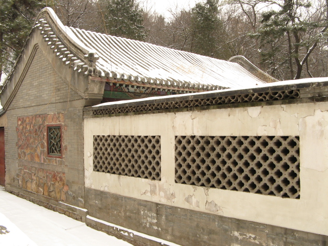 兔年春雪走颐 021.jpg