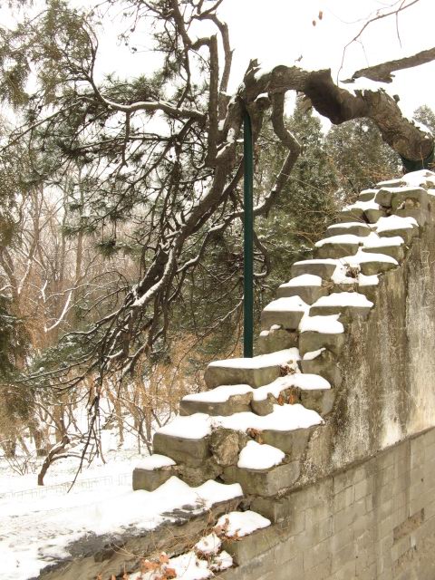 兔年春雪走颐 022.jpg