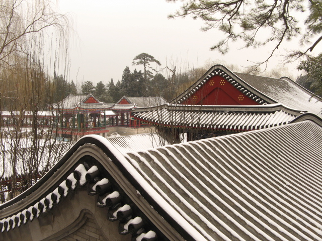 兔年春雪走颐 024.jpg