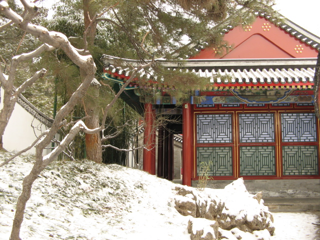 兔年春雪走颐 026.jpg