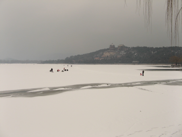 兔年春雪走颐 027.jpg
