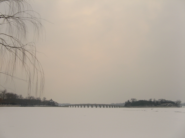 兔年春雪走颐 028.jpg