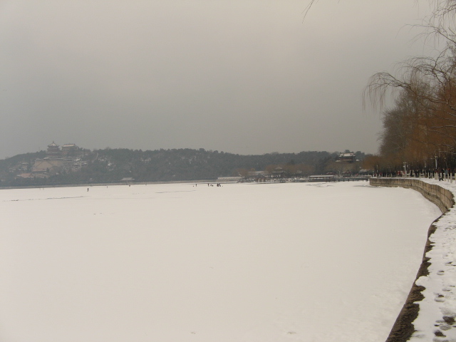 兔年春雪走颐 030.jpg