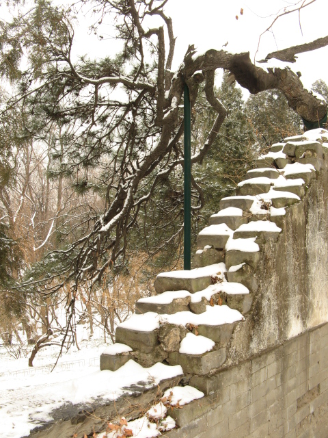旋转 兔年春雪走颐 022.jpg