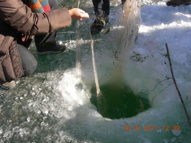 妙言照片 100.jpg