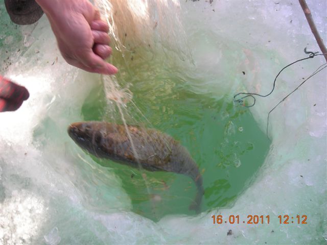 妙言照片 104.jpg