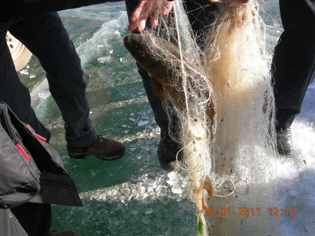 妙言照片 105.jpg