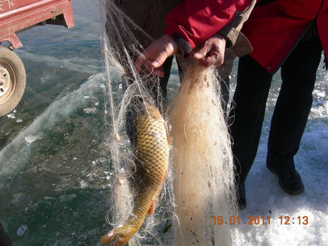 妙言照片 106.jpg