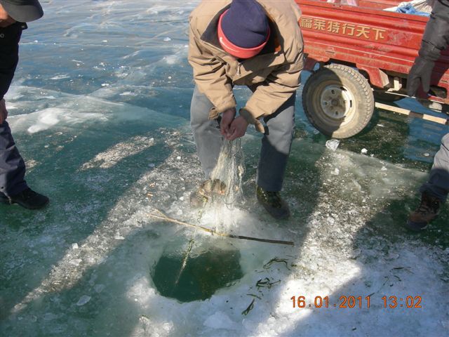 妙言照片 127.jpg