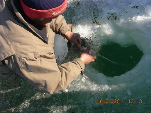 妙言照片 142.jpg