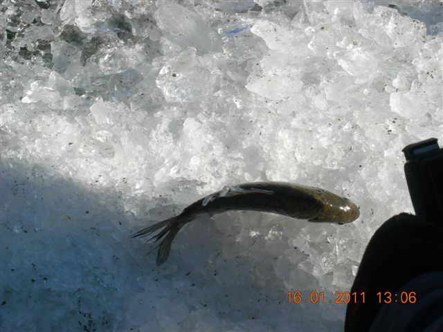 妙言照片 137.jpg