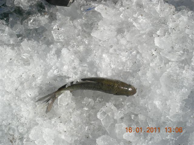 妙言照片 138.jpg