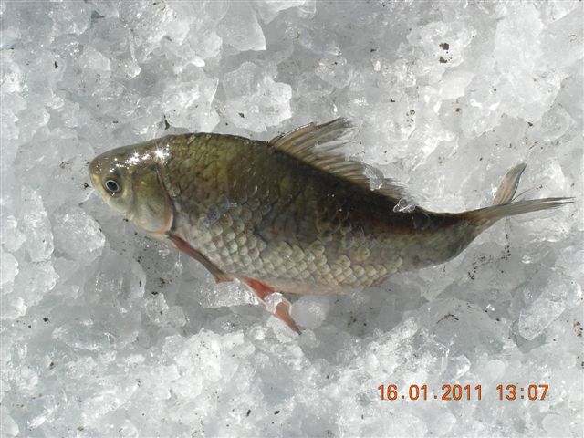 妙言照片 139.jpg