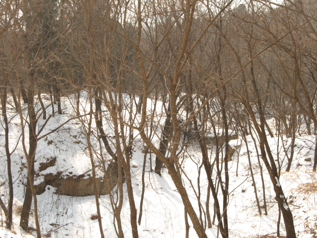 雪后香山休闲游 008.jpg