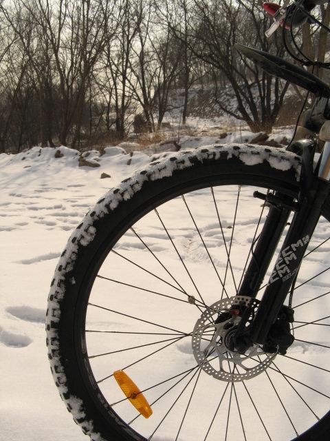 雪后香山休闲游 017.jpg