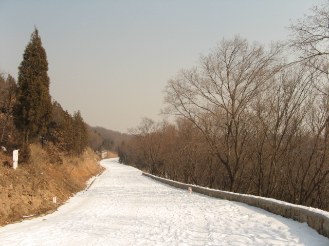 雪后香山休闲游 021.jpg