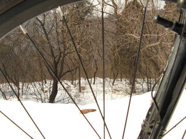 雪后香山休闲游 025.jpg