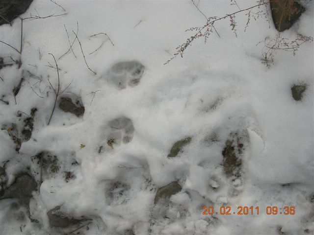 110220 爬香山 010.jpg