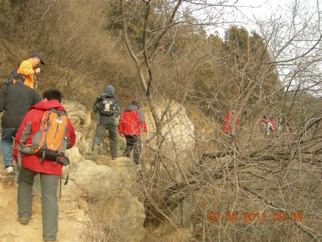 110220 爬香山 011.jpg